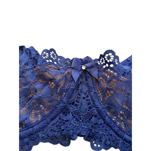 Fredericks of Hollywood NWT Sandie Demi Underwire Lace Bra Sz 42D Blue & Beige - Picture 10 of 15